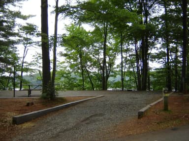Site #29