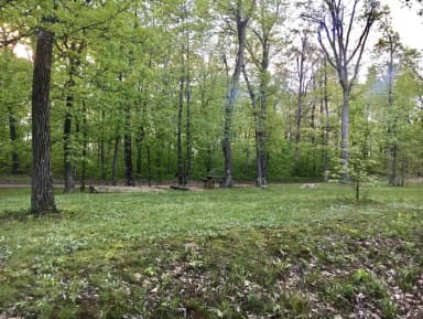 White Rock Mountain Site 1