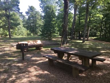 Site 01 at White Rock Mountain Recreation Area