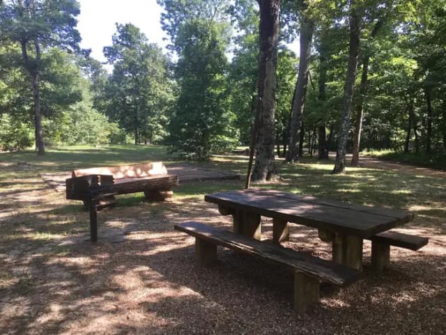 White Rock Mountain Site 1