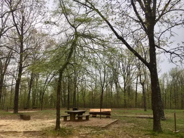 White Rock Mountain Campsite 2