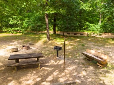 White Rock Mountain Campsite 2