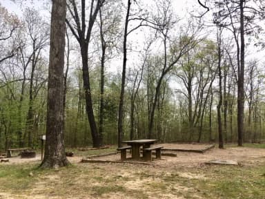 White Rock Mountain Campsite 3