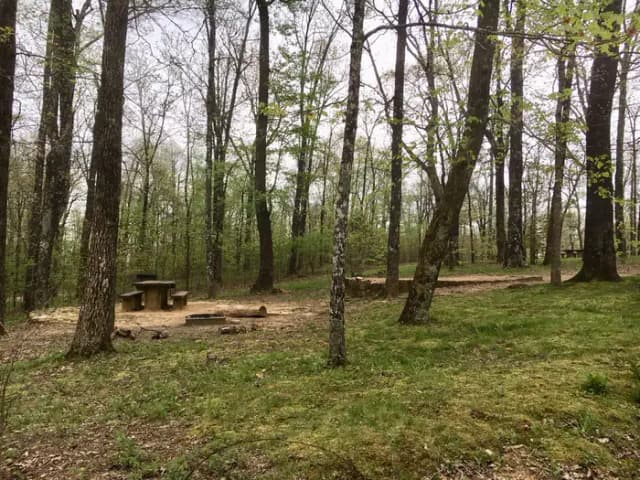 White Rock Mountain Campsite 4