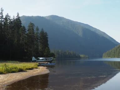 Site W17 at Marten Lake Cabin