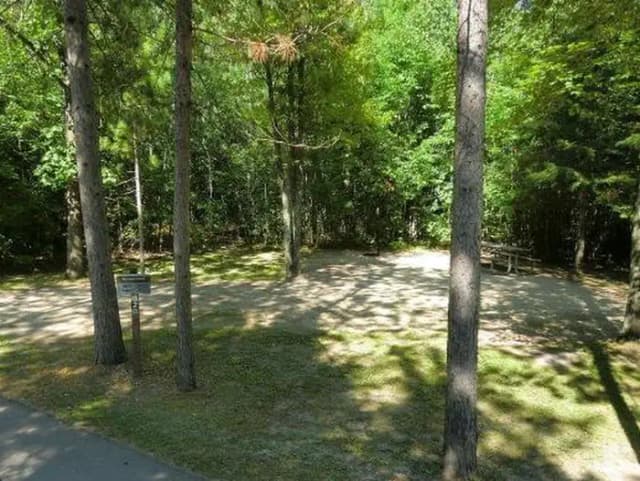Campsite #2