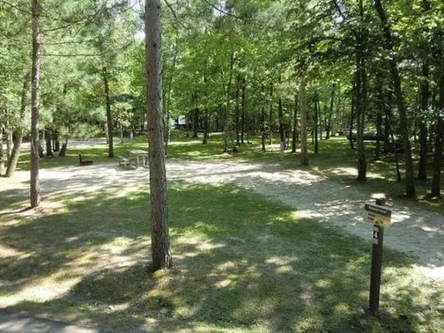 Campsite #4
