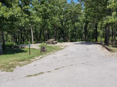 Birch Cove Site #10