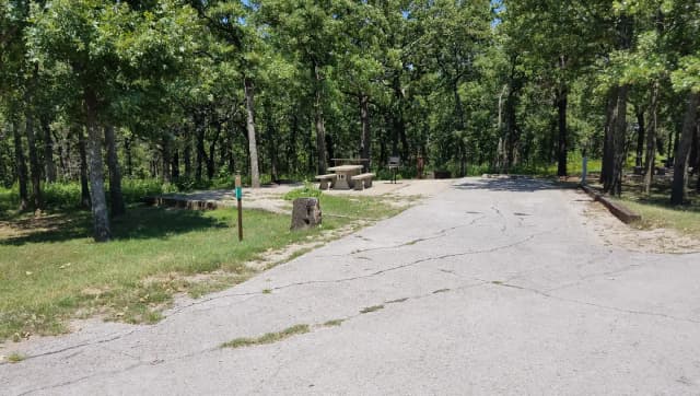 Birch Cove Site #10