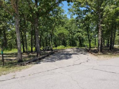 Birch Cove Site #14
