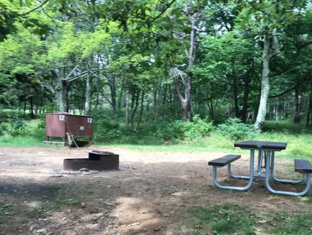 Reserve-able tent only/walk to site 12; A short walk to tent only site 12