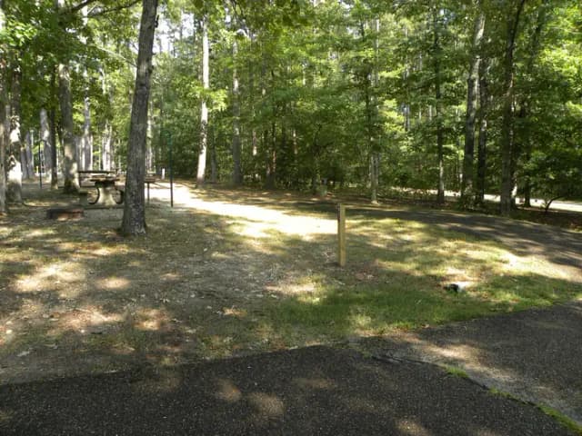 B31