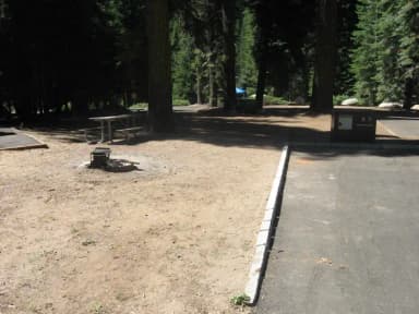 Site 3