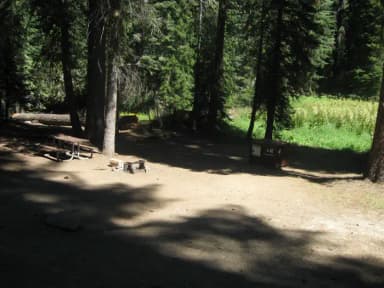 Campsite 12, Partial Shade, Near Creek