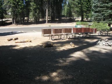 Group C, 11 parking spaces, 6 food storage boxes