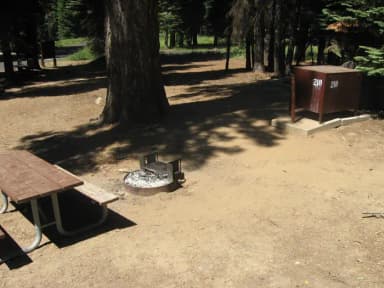Site 218, partial shade