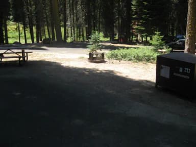 Site 217, no tent site, sunny