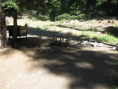 Site 212, partial shade