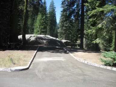 Campsite 29, Partial Shade, Near Creek and Meadow