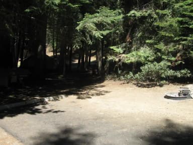Site 211, shady