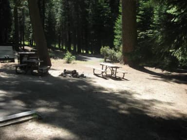 Site 210, partial shade