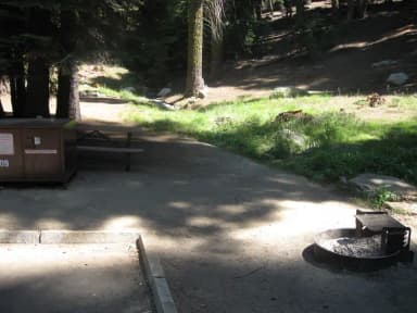 Site 209, partial shade