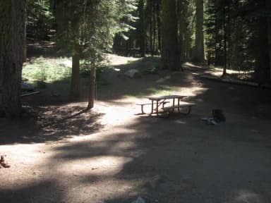 Site 208, partial shade