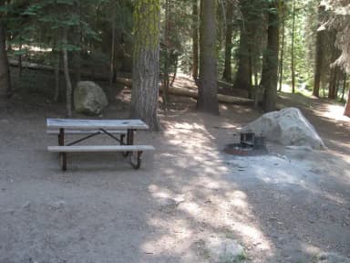 Site 207, partial shade