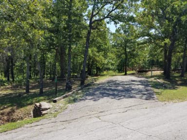 Birch Cove Site #20