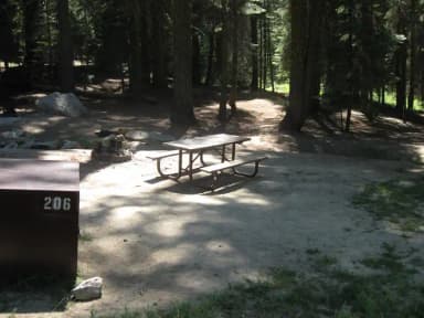 Site 206, partial shade