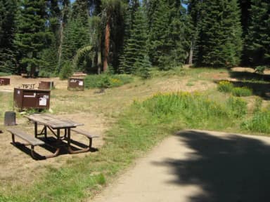 Site 203, sunny, near meadow