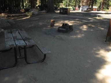 Site 202, partial shade, near meadow