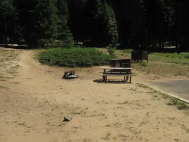 Site 201, sunny, small site