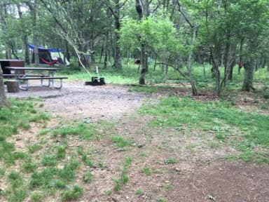 Tent only site 28; Short walk to this campsite