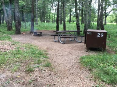 Food Storage bin on Tent only site 29  has a food storage bin for your convenience.  Food/coolers must be stored in this bin when you are not there to prevent bears and other wildlife from getting into your belongings.