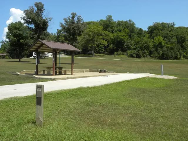 C13