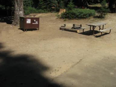 Site 198, sunny