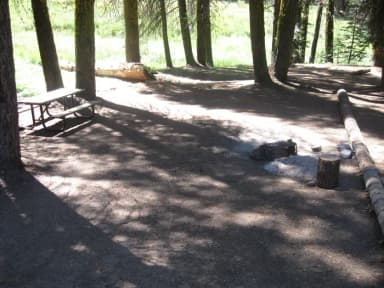 Site 199, partial shade, near creek and meadow