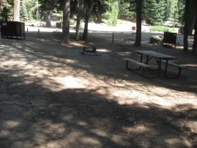 Site 195, partial shade, near creek and meadow