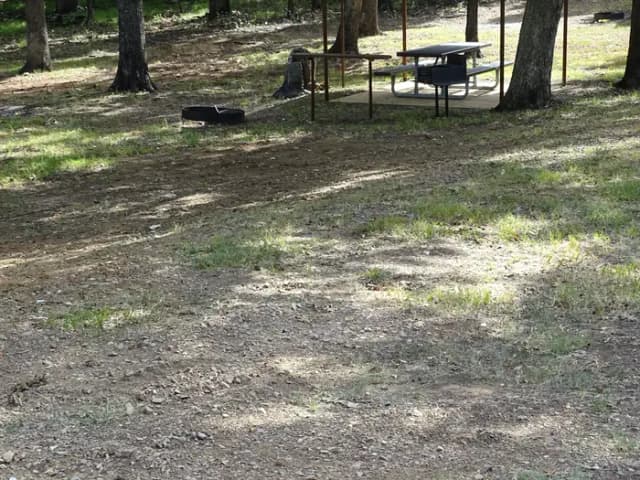 Quail 3