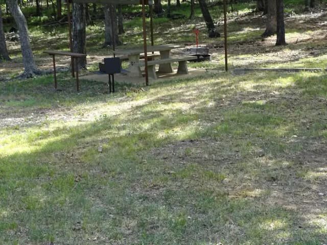 Quail 4