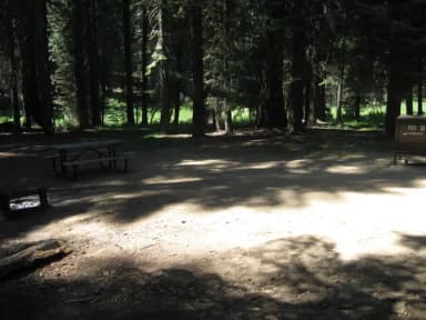 Site 193, shady, near creek, near meadow, near roadway