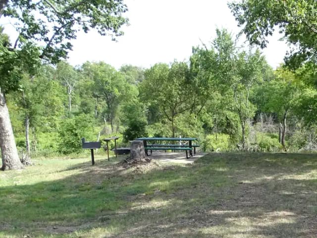 Quail 8