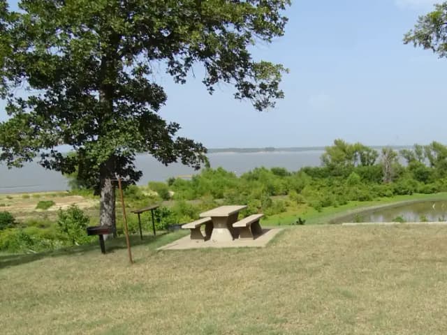 Quail 10