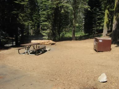 Site 192, shady, near roadway