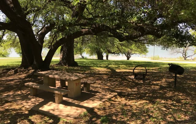 Tent site with picnic table, grill, and fire ring with Waco Lake in the background
