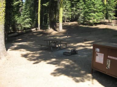 Site 191, partial shade