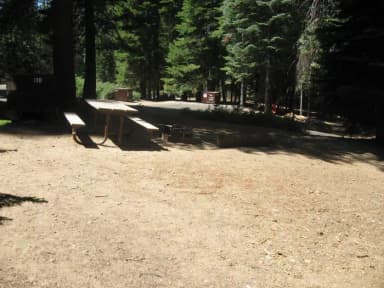 Site 190, partial shade