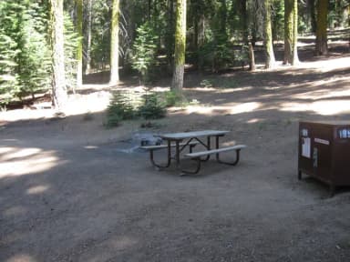Site 189, partial shade