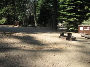 Site 188, partial shade
